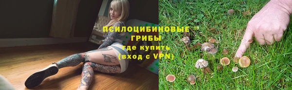 крисы Протвино