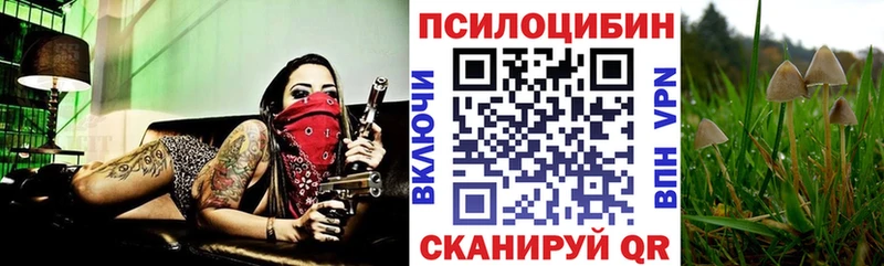 Псилоцибиновые грибы GOLDEN TEACHER  купить наркоту  Белинский 